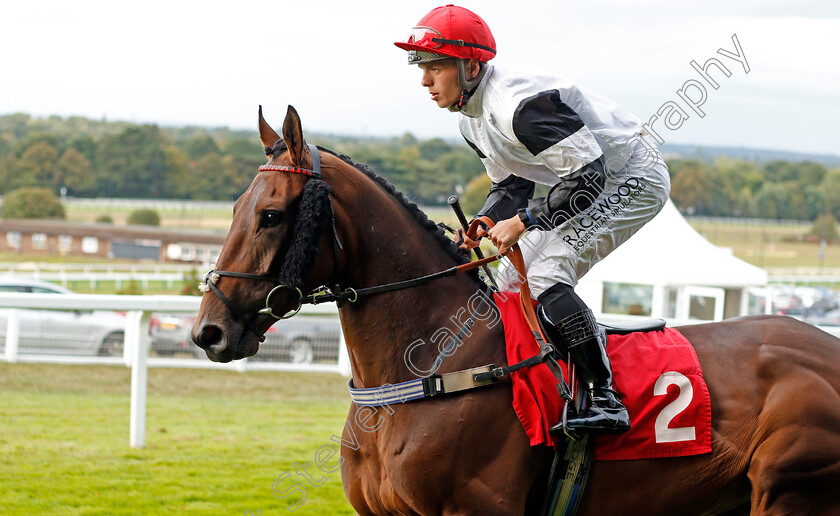 Loch-Ness-Monster-0001 
 LOCH NESS MONSTER (Thoedore Ladd)
Sandown 31 Aug 2019 - Pic Steven Cargill / Racingfotos.com