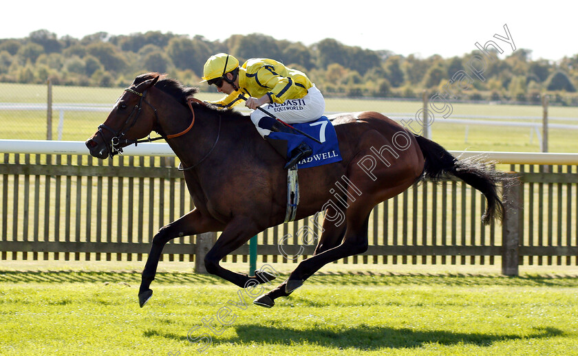 Beshaayir-0004 
 BESHAAYIR (Oisin Murphy) wins The Muhaarar British EBF Rosemary Stakes
Newmarket 28 Sep 2018 - Pic Steven Cargill / Racingfotos.com