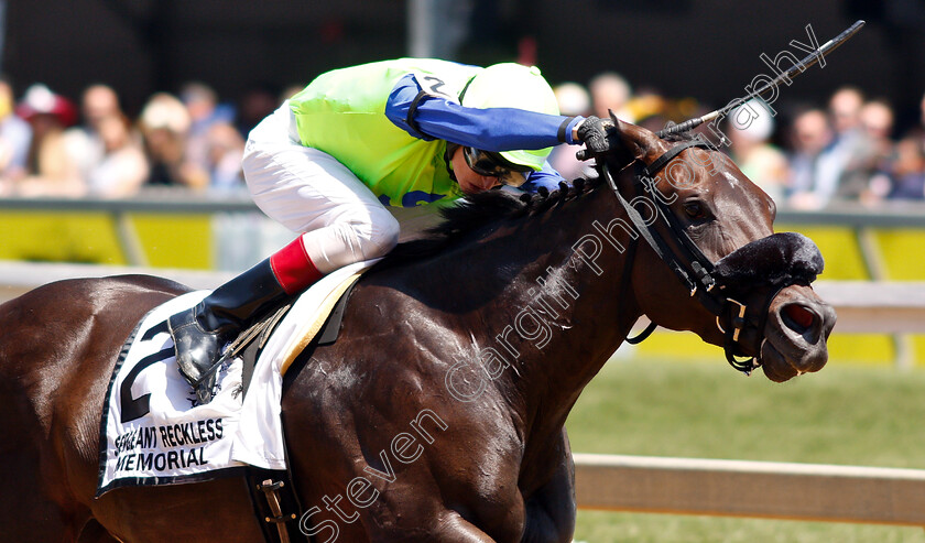 Final-Form-0003 
 FINAL FORM (Trevor McCarthy)
Pimlico, Baltimore USA, 17 May 2019 - Pic Steven Cargill / Racingfotos.com