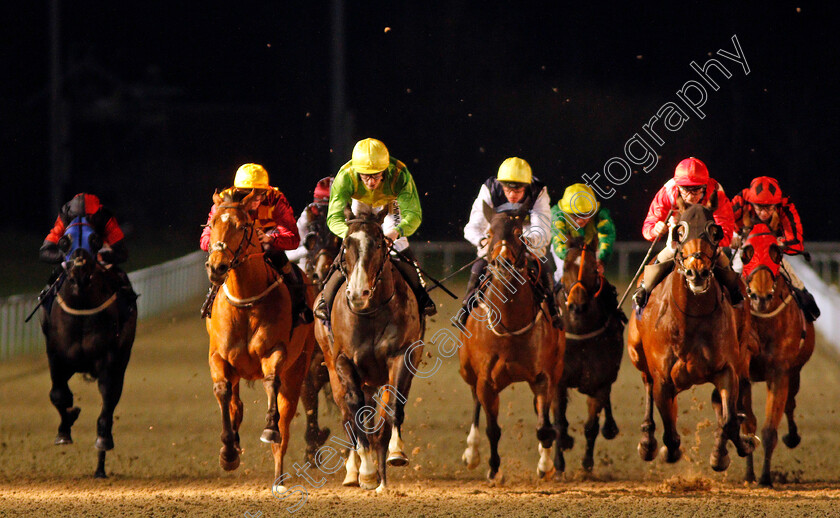 Dynamo-Walt-0001 
 DYNAMO WALT (Lewis Edmunds) wins The Betway Heed Your Hunch Handicap
Wolverhampton 19 Dec 2019 - Pic Steven Cargill / Racingfotos.com