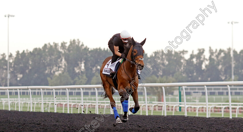 Trawlerman-0003 
 TRAWLERMAN training for the Dubai Gold Cup
Meydan, Dubai, 21 Mar 2023 - Pic Steven Cargill / Racingfotos.com