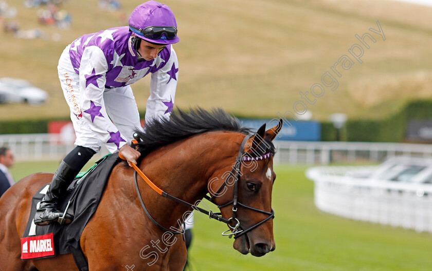 Walbank 
 WALBANK (Rossa Ryan)
Goodwood 27 Jul 2022 - Pic Steven Cargill / Racingfotos.com