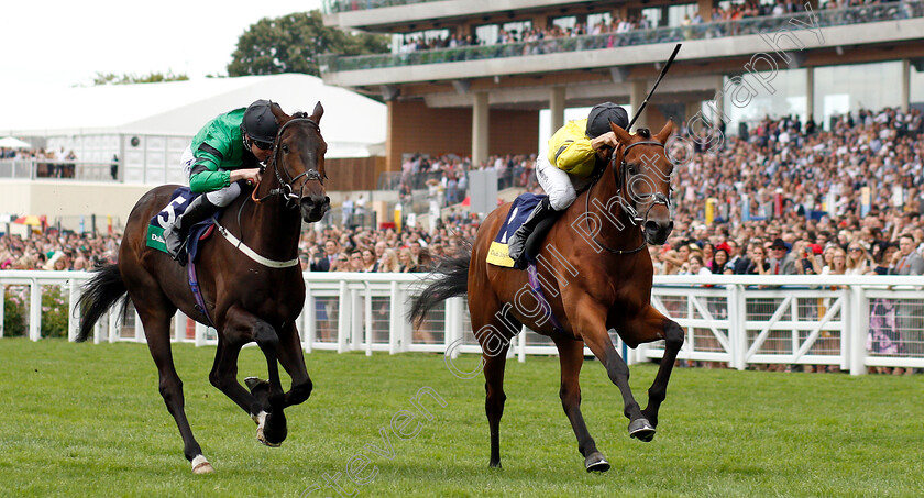 Berkshire-Blue-0002 
 BERKSHIRE BLUE (right, Joao Moreira) beats BLUE LAUREATE (left) in The Dubai Duty Free Shergar Cup Classic
Ascot 11 Aug 2018 - Pic Steven Cargill / Racingfotos.com