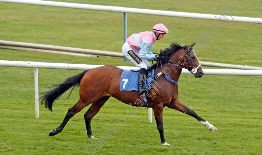 One-More-Guinness-0001 
 ONE MORE GUINNESS (George Wood)
Leicester 10 Sep 2024 - Pic Steven Cargill / Racingfotos.com