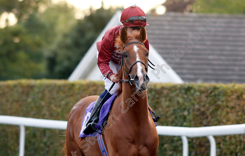 Climb-Aboard-0001 
 CLIMB ABOARD (Oisin Murphy)
Kempton 29 Aug 2018 - Pic Steven Cargill / Racingfotos.com