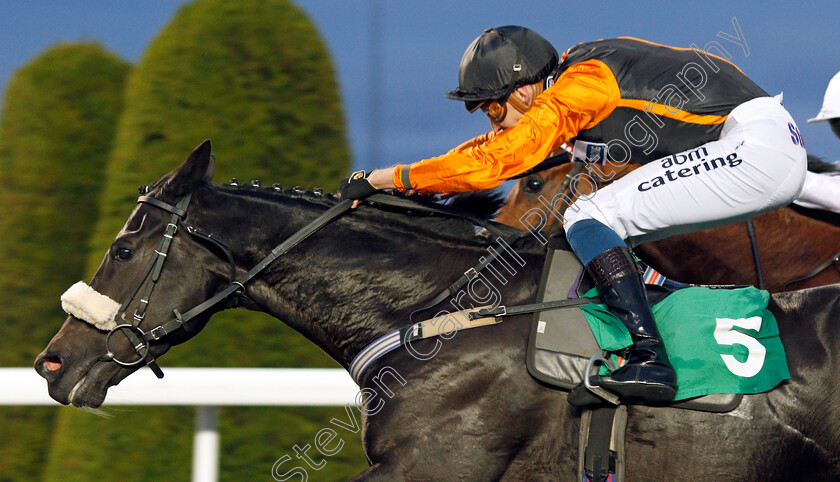 Kasbaan-0009 
 KASBAAN (Alistair Rawlinson) wins The Matchbook London Mile Series Qualifier Handicap
Kempton 3 Sep 2019 - Pic Steven Cargill / Racingfotos.com