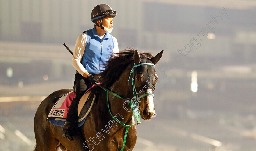 Dura-Erede-0001 
 DURA EREDE training for the UAE Derby
Meydan, Dubai, 21 Mar 2023 - Pic Steven Cargill / Racingfotos.com