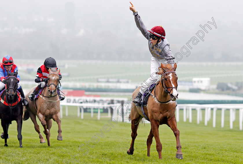 Little-Anne-0002 
 LITTLE ANNE (Harry Davies) wins The Charles Owen Pony Race 138cm & under
Cheltenham 17 Nov 2019 - Pic Steven Cargill / Racingfotos.com