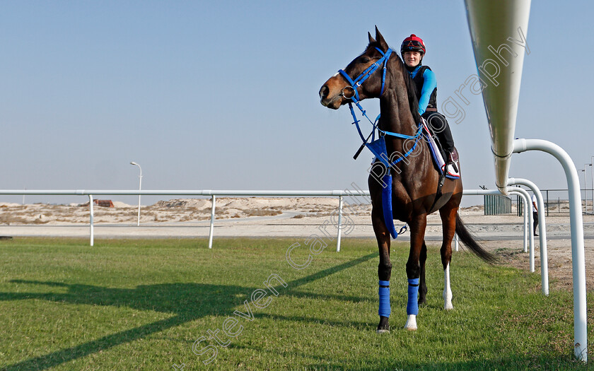 Deirdre-0004 
 DEIRDRE (Hollie Doyle) training for the Bahrain International Trophy
Rashid Equestrian & Horseracing Club, Bahrain, 19 Nov 2020 - Pic Steven Cargill / Racingfotos.com