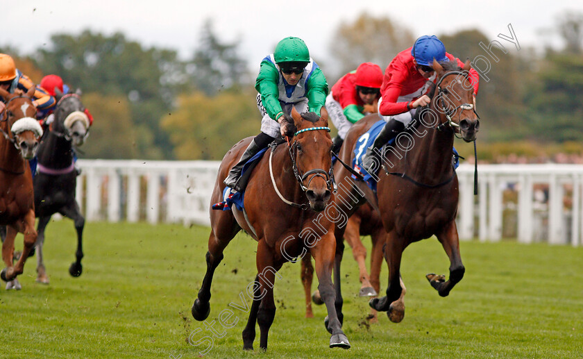 One-Master-0004 
 ONE MASTER (Martin Harley) wins The Totepool British EBF October Stakes Ascot 7 Oct 2017 - Pic Steven Cargill / Racingfotos.com