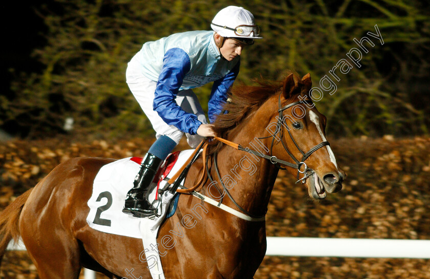 Ebury-0001 
 EBURY (Rob Hornby) before winning The Matchbook Casino Novice Stakes Div2
Kempton 6 Mar 2019 - Pic Steven Cargill / Racingfotos.com