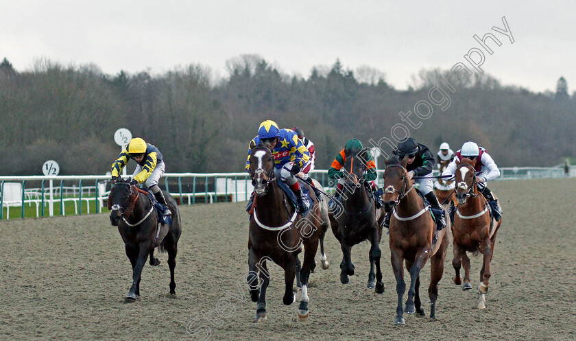 Abel-Tasman-0001 
 ABEL TASMAN (centre, Franny Norton) beats ITS NICE TOBE NICE (right) in The #Betyourway At Betway Handicap Div2
Lingfield 19 Dec 2020 - Pic Steven Cargill / Racingfotos.com