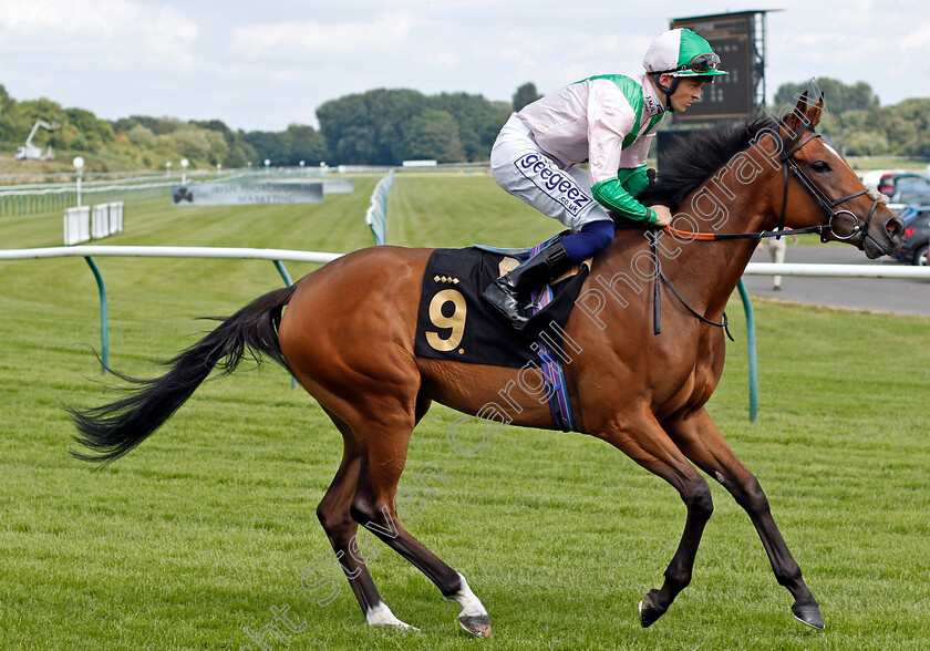 Typewriter-0001 
 TYPEWRITER (David Probert) winner of The IRE Incentive Scheme EBF Restricted Novice Stakes
Nottingham 10 Aug 2021 - Pic Steven Cargill / Racingfotos.com