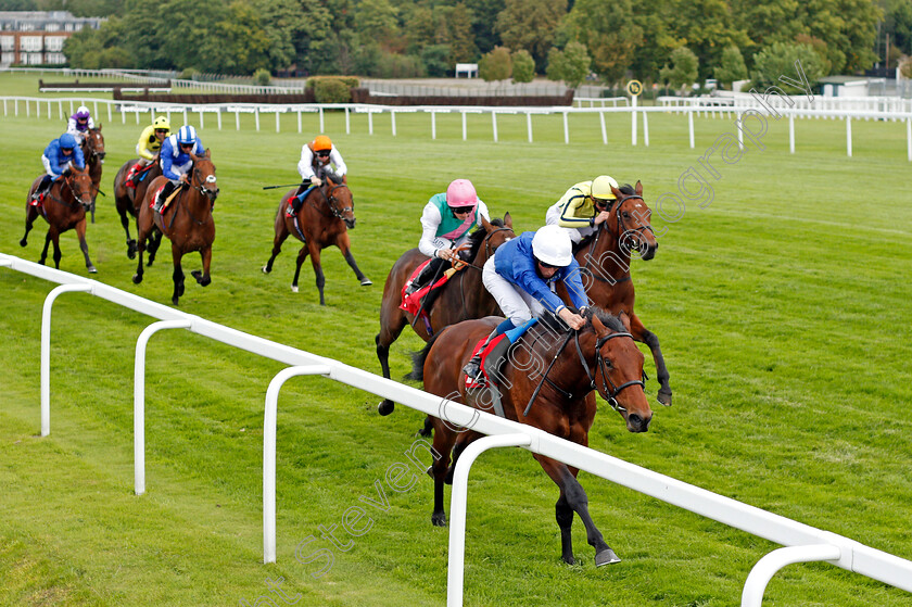 One-Ruler-0003 
 ONE RULER (William Buick) wins The Betway Maiden Stakes
Sandown 23 Aug 2020 - Pic Steven Cargill / Racingfotos.com