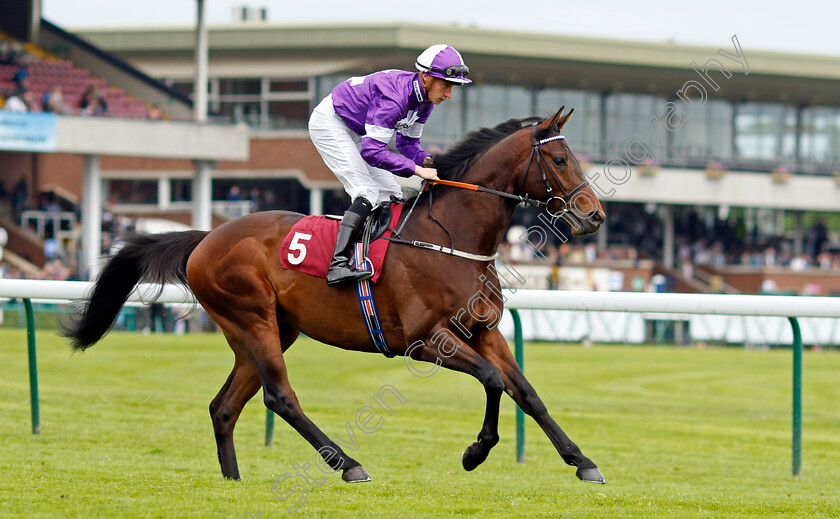 Dirtyoldtown 
 DIRTYOLDTOWN (Sam James)
Haydock 21 May 2022 - Pic Steven Cargill / Racingfotos.com