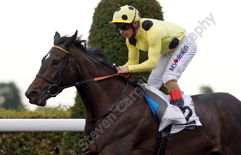 Elasia-0007 
 ELASIA (Andrea Atzeni) wins The 32Red Fillies Novice Stakes
Kempton 8 Aug 2018 - Pic Steven Cargill / Racingfotos.com