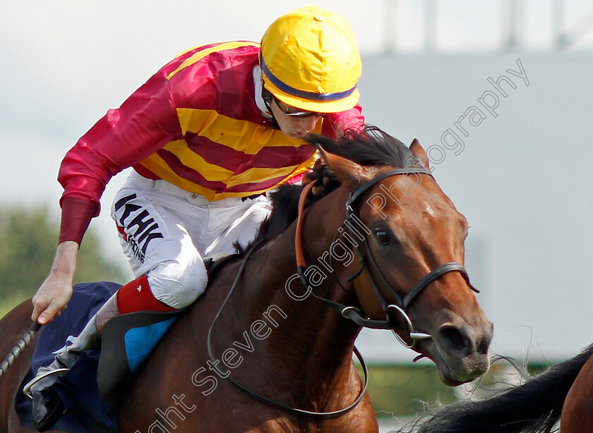 Bayside-Boy-0007 
 BAYSIDE BOY (David Egan) wins The Champagne Stakes
Doncaster 11 Sep 2021 - Pic Steven Cargill / Racingfotos.com