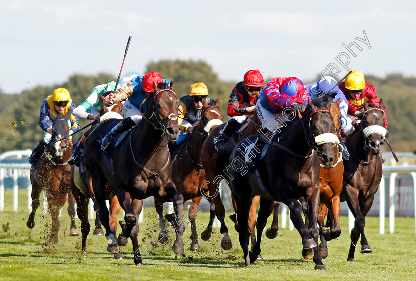 Aesterius-0006 
 AESTERIUS (left, James Doyle) beats BIG MOJO (right) in The Carlsberg Danish Pilsner Flying Childers Stakes
Doncaster 13 Sep 2024 - Pic Steven Cargill / Racingfotos.com