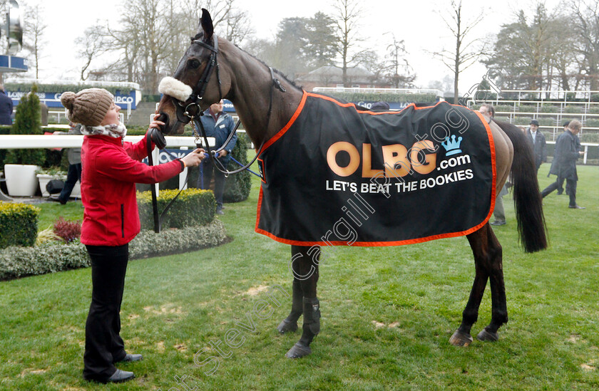 Magic-Of-Light-0009 
 MAGIC OF LIGHT after The OLBG.com Mares Hurdle
Ascot 19 Jan 2019 - Pic Steven Cargill / Racingfotos.com