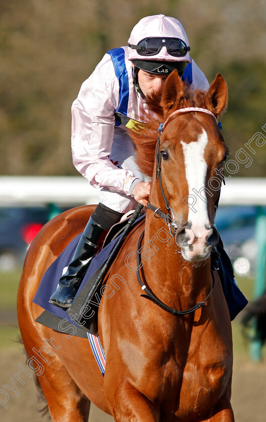 Shanghai-Silver-0001 
 SHANGHAI SILVER (Luke Morris) Lingfield 16 Feb 2018 - Pic Steven Cargill / Racingfotos.com