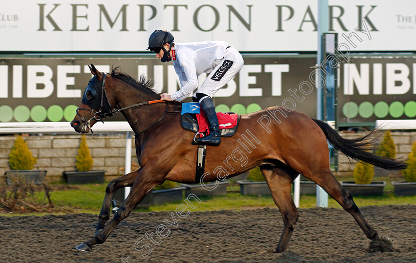 Mack-The-Knife-0007 
 MACK THE KNIFE (Daniel Muscutt) wins The Join Racing TV Now Classified Stakes
Kempton 16 Feb 2021 - Pic Steven Cargill / Racingfotos.com