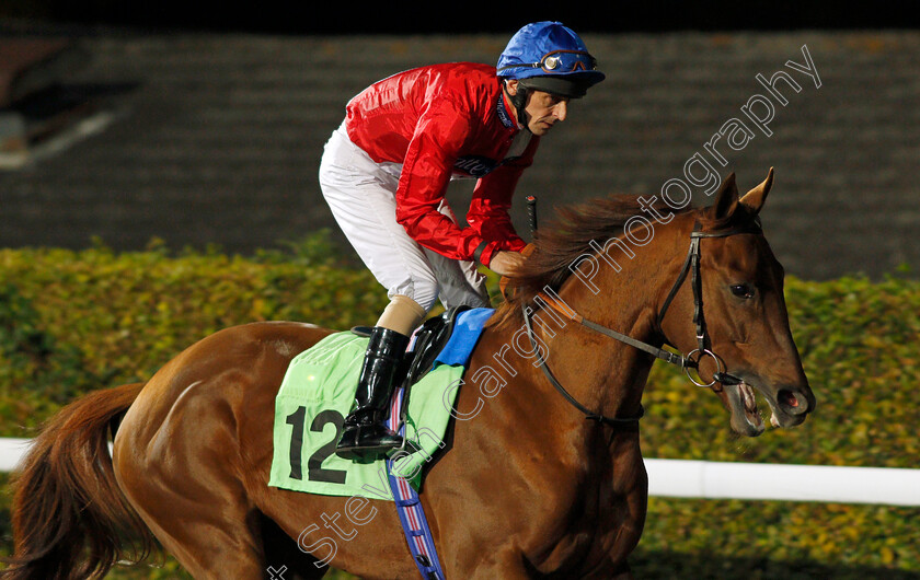 Rapier-0001 
 RAPIER (Ted Durcan) Kempton 4 Oct 2017 - Pic Steven Cargill / Racingfotos.com