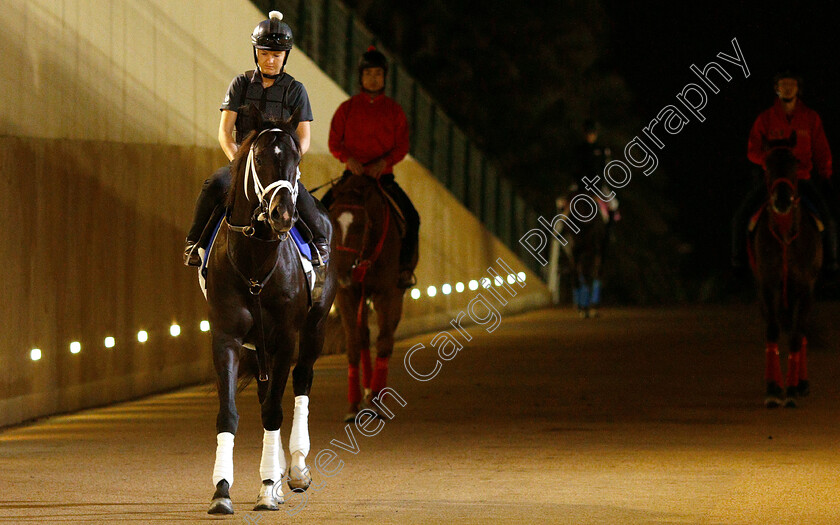 Coal-Front-0002 
 COAL FRONT training for The Godolphin Mile
Meydan 28 Mar 2019 - Pic Steven Cargill / Racingfotos.com