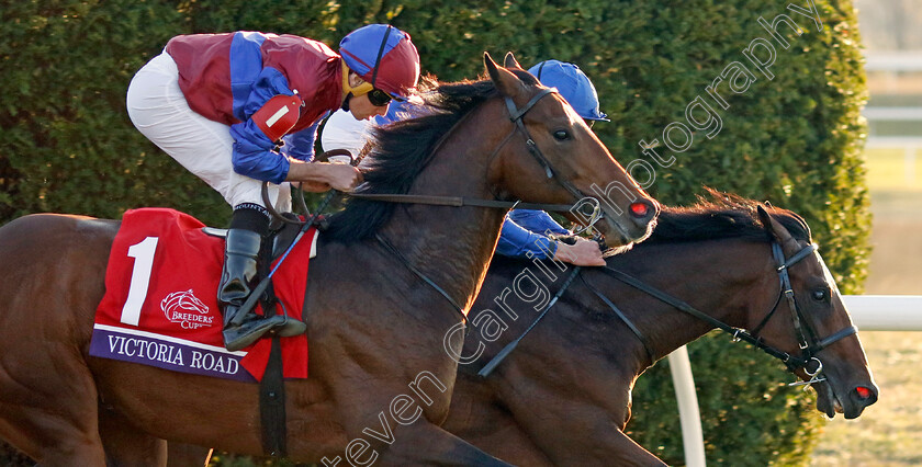 Victoria-Road-0002 
 VICTORIA ROAD (left, Ryan Moore) beats SILVER KNOTT (right) in the Breeders' Cup Juvenile Turf 
Breeders Cup Meeting, Keeneland USA, 4 Nov 2022 - Pic Steven Cargill / Racingfotos.com