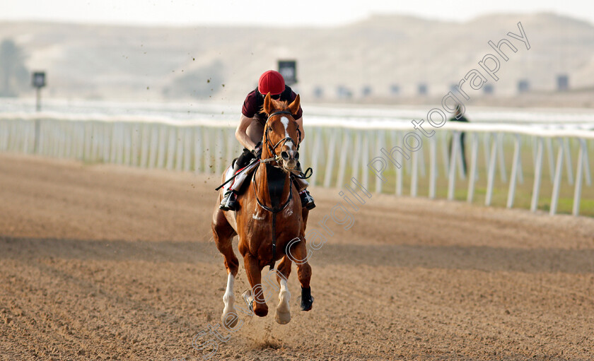 Sovereign-0005 
 SOVEREIGN training for the Bahrain International Trophy
Rashid Equestrian & Horseracing Club, Bahrain, 18 Nov 2020