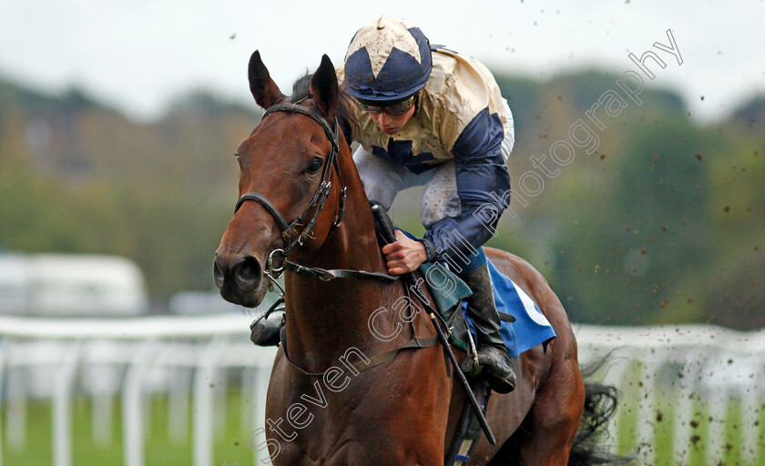 Rhythm-N-Rock-0009 
 RHYTHM N ROCK (William Buick) wins The @leicesterraces EBF Novice Stakes 
Leicester 12 Oct 2021 - Pic Steven Cargill / Racingfotos.com