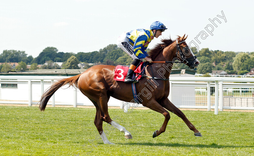 Hummdinger-0001 
 HUMMDINGER (David Egan)
Sandown 6 Jul 2018 - Pic Steven Cargill / Racingfotos.com