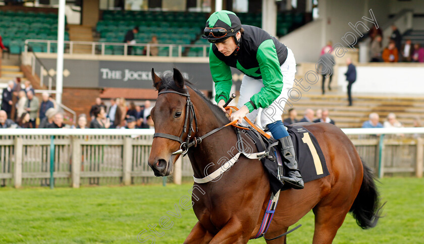 Angel-Time-0001 
 ANGEL TIME (Callum Shepherd)
Newmarket 29 Oct 2022 - Pic Steven Cargill / Racingfotos.com