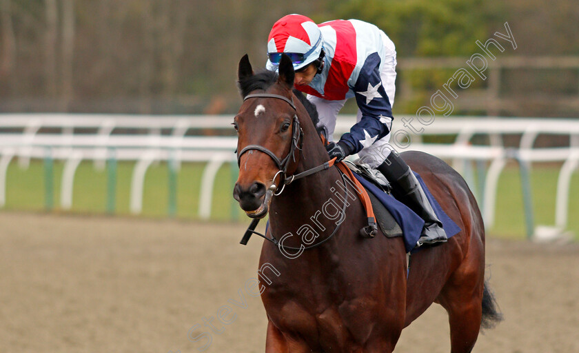 Galloway-Hills-0001 
 GALLOWAY HILLS (Sean Levey) winner of The Betway Sprint Novice Stakes Lingfield 6 Jan 2018 - Pic Steven Cargill / Racingfotos.com