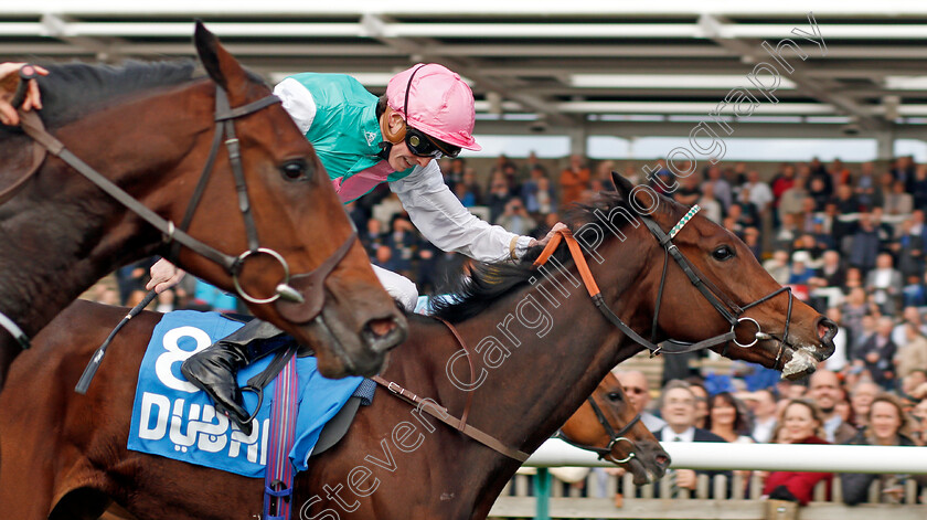 Gavota-0002 
 GAVOTA (James Doyle) Newmarket 13 Oct 2017 - Pic Steven Cargill / Racingfotos.com