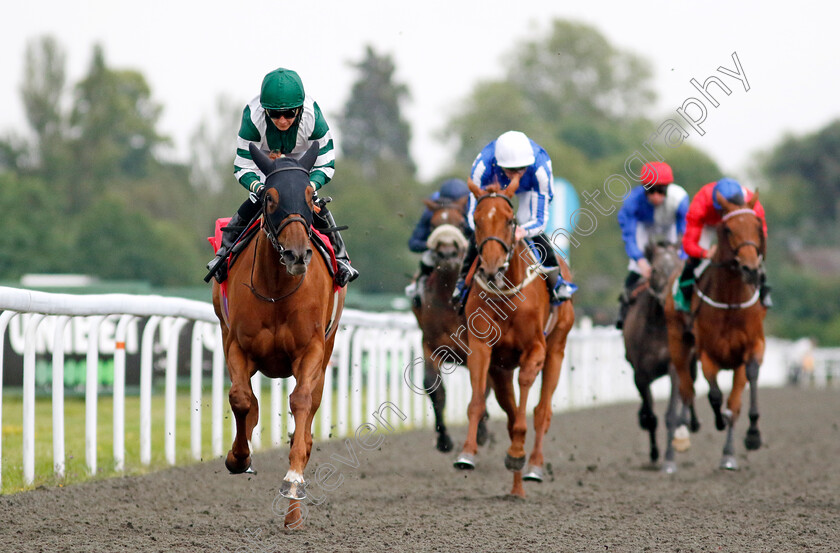 Aiming-High-0002 
 AIMING HIGH (Hayley Turner) wins The Try Unibet's Improved Bet Builder Fillies Handicap
Kempton 12 Jun 2024 - Pic Steven Cargill / Racingfotos.com