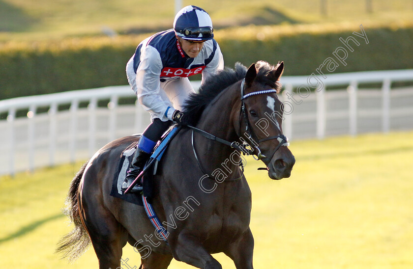 Dame-Ethel-Smyth-0002 
 DAME ETHEL SMYTH (Benoit de la Sayette)
Goodwood 26 Aug 2022 - Pic Steven Cargill / Racingfotos.com