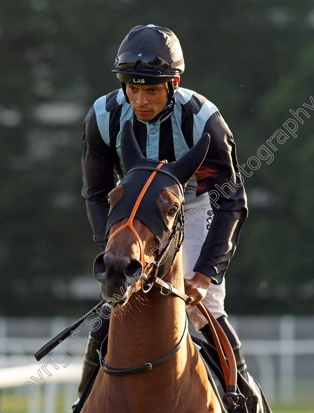 Truganini-0001 
 TRUGANINI (Sean Levey)
Newbury 22 Jul 2021 - Pic Steven Cargill / Racingfotos.com