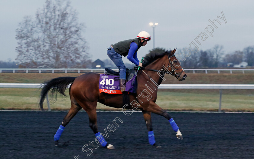 Nashwa-0003 
 NASHWA training for the Breeders' Cup Filly & Mare Turf
Keeneland USA 2 Nov 2022 - Pic Steven Cargill / Racingfotos.com