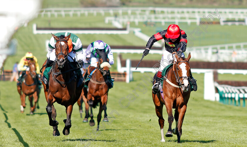 Stylish-Dancer-0001 
 STYLISH DANCER (left, Harry Skelton) beats CUBSWIN (right) in The Arkells Brewery Fillies Juvenile Handicap Hurdle Cheltenham 19 Apr 2018 - Pic Steven Cargill / Racingfotos.com