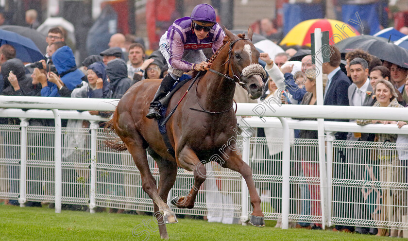 The-Goat-0001 
 THE GOAT (Jason Watson) wins The Coral Handicap
Goodwood 2 Aug 2023 - Pic Steven Cargill / Racingfotos.com