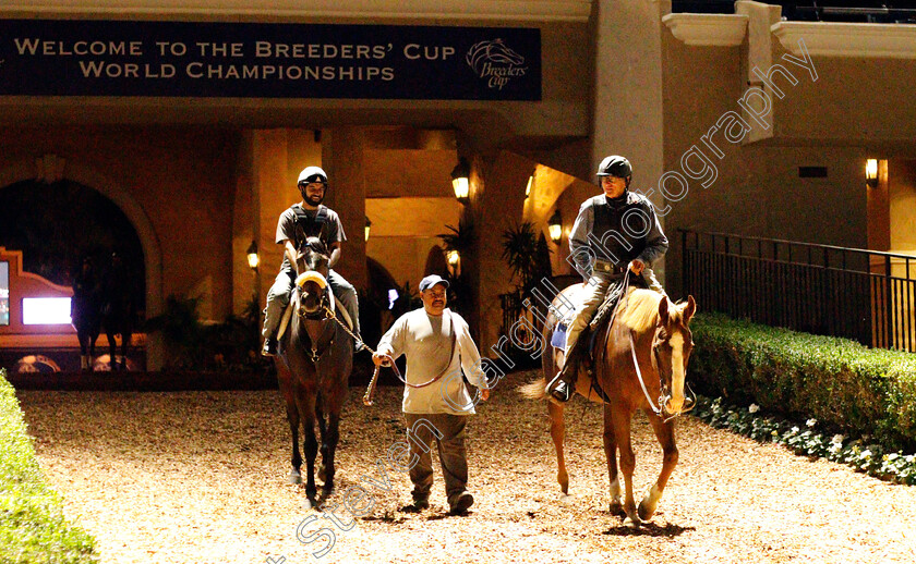 Del-Mar-0002 
 Horses heading to the track for training at The Breeders' Cup, Del Mar USA 31 Oct 2017 - Pic Steven Cargill / Racingfotos.com