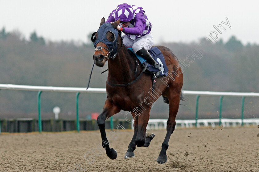 The-Mums-0001 
 THE MUMS (Robert Havlin) Lingfield 20 Dec 2017 - Pic Steven Cargill / Racingfotos.com