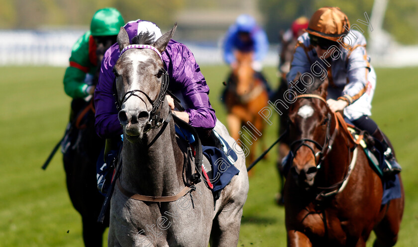 Maximum-Impact-0004 
 MAXIMUM IMPACT (Kevin Stott) wins The Royal Ascot Two-Year-Old Trial EBF Conditions Stakes
Ascot 3 May 2023 - Pic Steven Cargill / Racingfotos.com