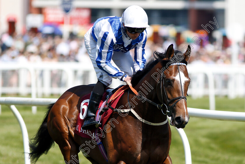 Chief-Ironside-0001 
 CHIEF IRONSIDE (Kieran Shoemark)
Newbury 19 May 2018 - Pic Steven Cargill / Racingfotos.com