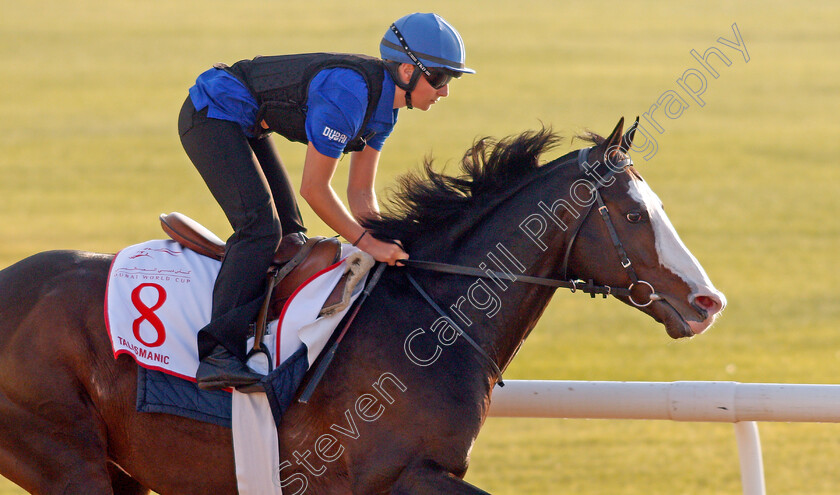 Talismanic-0003 
 TALISMANIC exercising in preparation for The Dubai World Cup Meydan 28 Mar 2018 - Pic Steven Cargill / Racingfotos.com