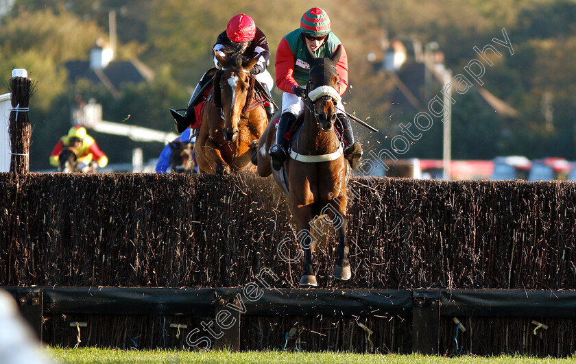 Elkstone-0001 
 ELKSTONE (James Bowen) wins The Matchbook Casino Handicap Chase
Kempton 21 Oct 2018 - Pic Steven Cargill / Racingfotos.com