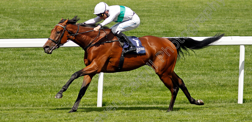 Friendly-Soul-0004 
 FRIENDLY SOUL (Kieran Shoemark) wins The Longines Valiant Stakes
Ascot 27 Jul 2024 - Pic Steven Cargill / Racingfotos.com