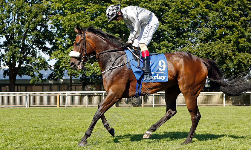 Romantic-Proposal-0002 
 ROMANTIC PROPOSAL (Chris Hayes)
Newmarket 9 Jul 2022 - Pic Steven Cargill / Racingfotos.com