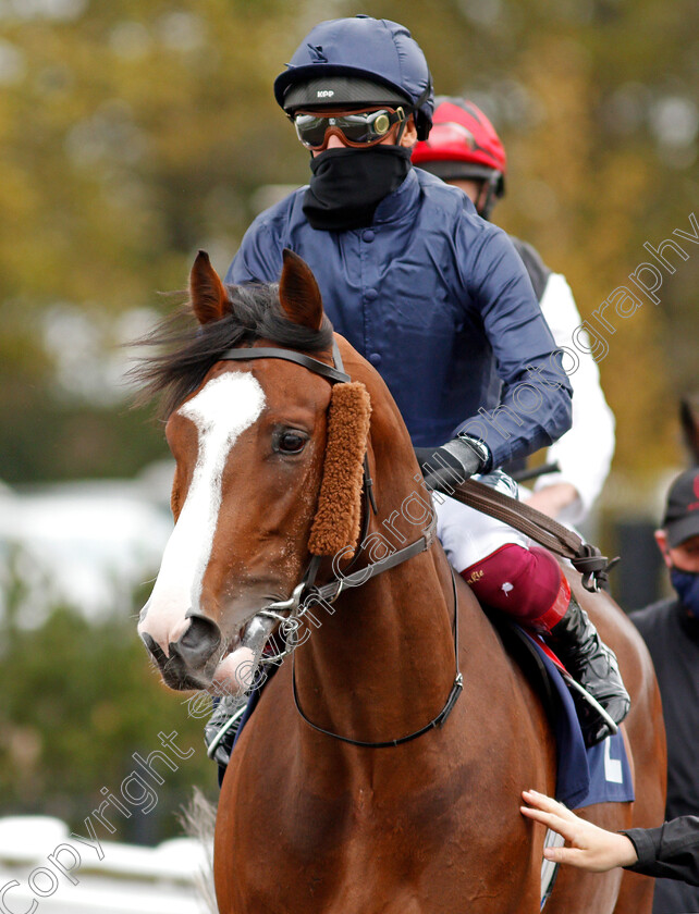 Carlisle-Bay-0001 
 CARLISLE BAY (Frankie Dettori)
Lingfield 8 May 2021 - Pic Steven Cargill / Racingfotos.com