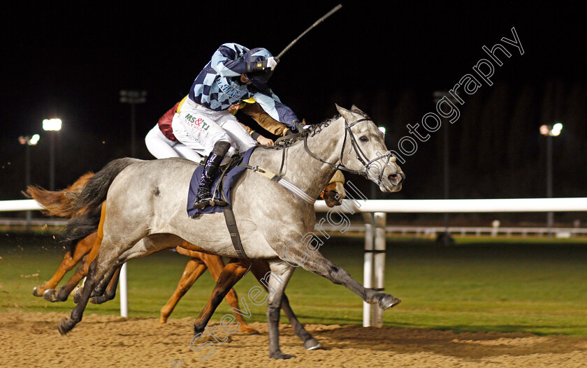 Muftakker-0004 
 MUFTAKKER (Jack Garritty) wins The Heed Your Hunch At Betway Handicap Div1
Wolverhampton 24 Nov 2020 - Pic Steven Cargill / Racingfotos.com